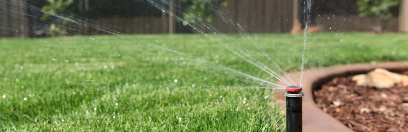 sprinkler