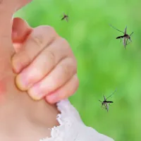 person itching mosquito bite on neck