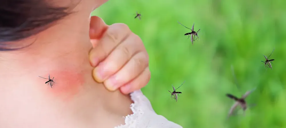 person itching mosquito bite on neck