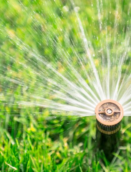 irrigation
